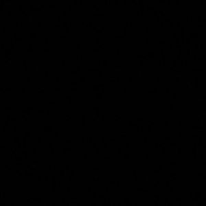 Meet your Posher, Meghan